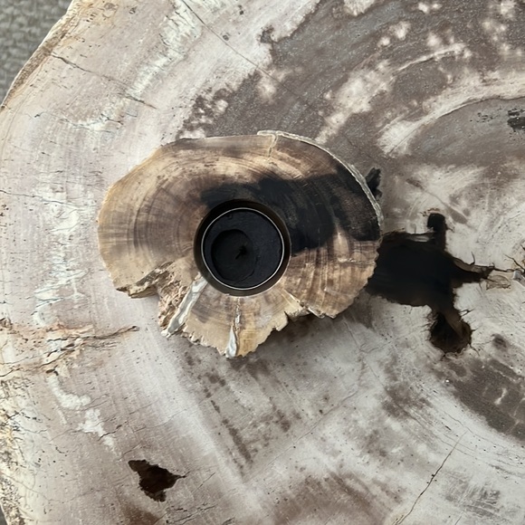 Genuine petrified wood tea light holder & decorative object natural cream black - Picture 9 of 16